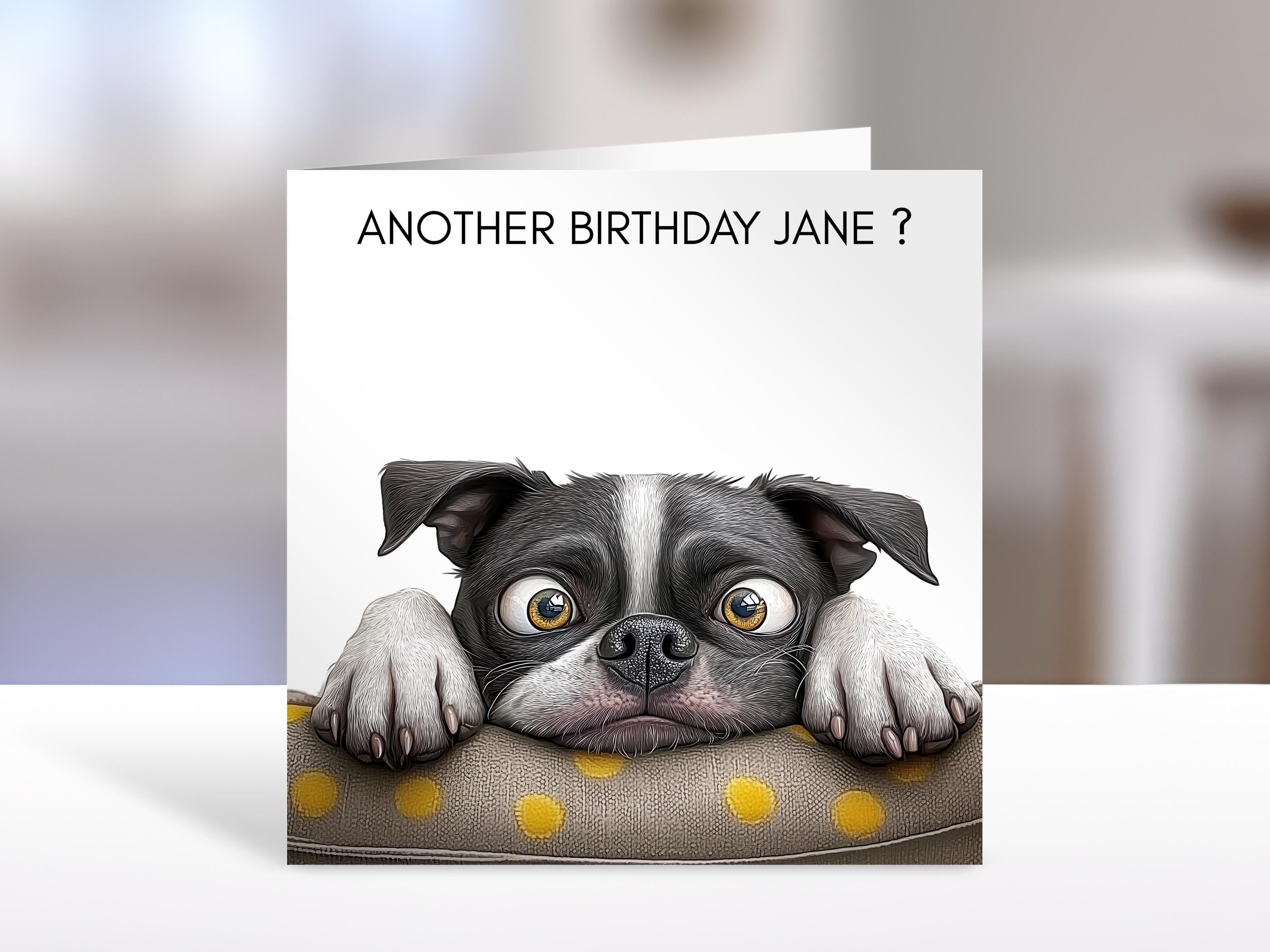 Boston Terrier Birthday card
