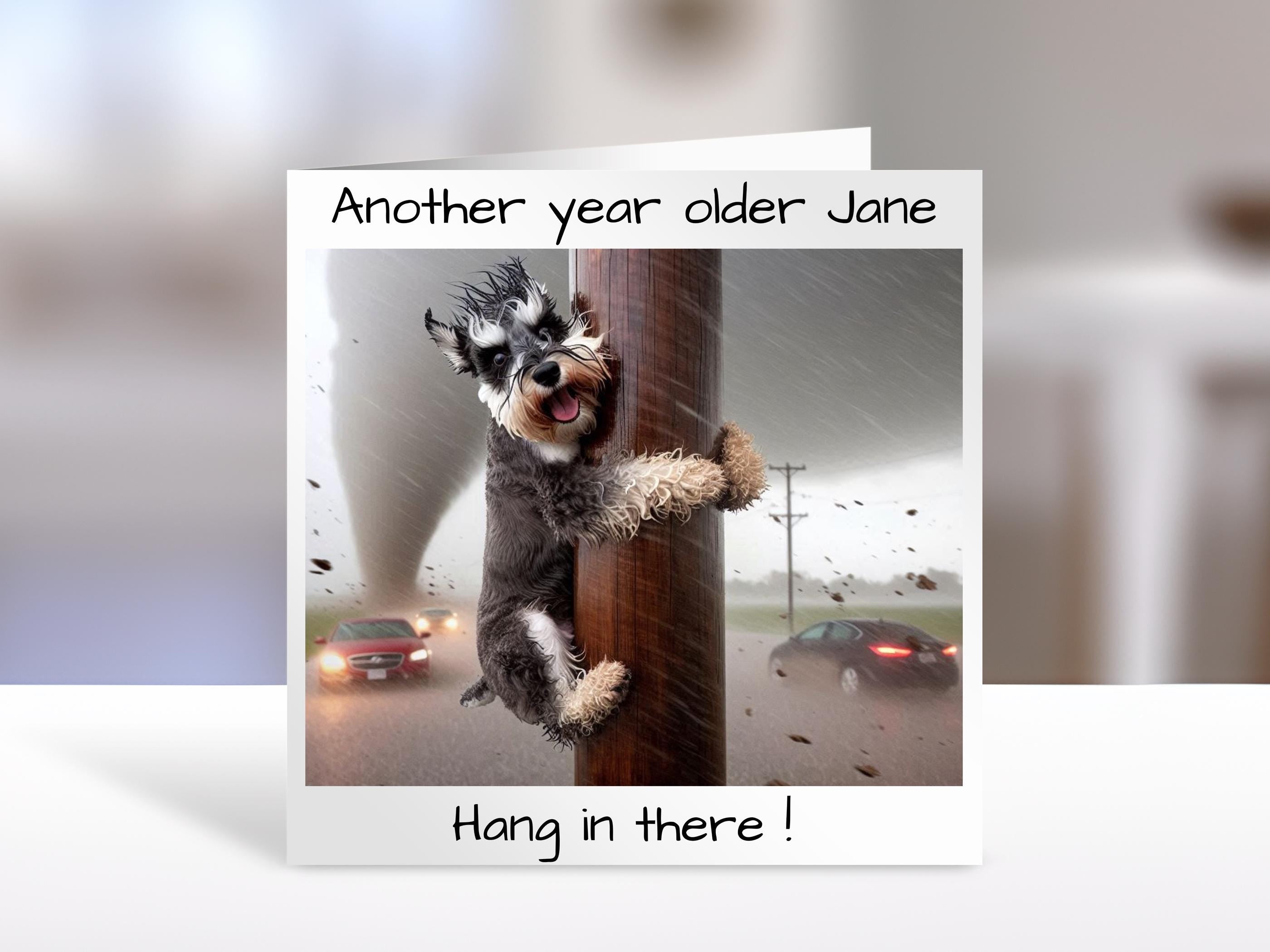 Schnauzer Birthday card | Black and white, hang in there, humorous greeting Cards | personalised card for friends, family, dog lovers