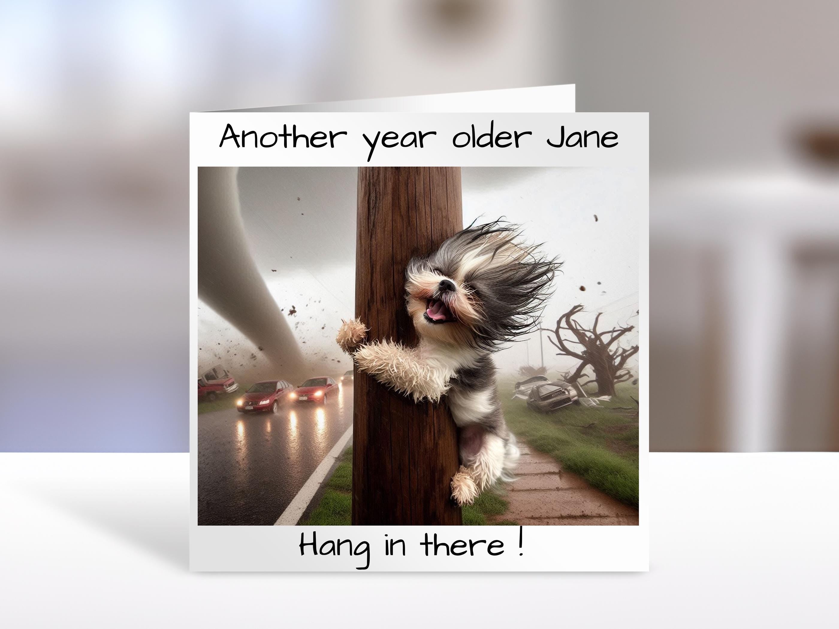 Shih Tzu Birthday card, hang in there | humorous greeting Cards | personalised card for friends, family, dog lovers
