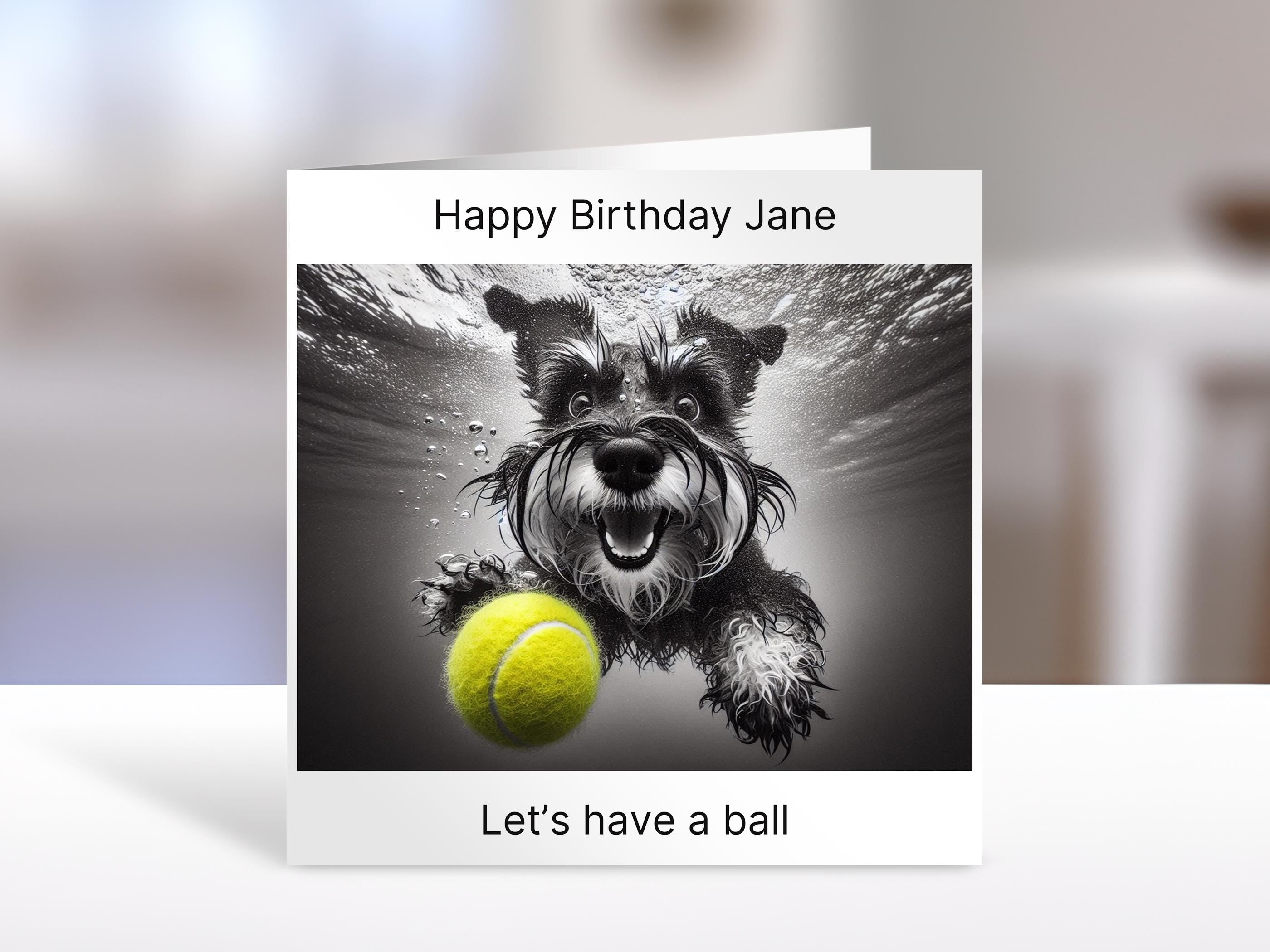 Schnauzer Birthday card | Black and white, have a ball, humorous greeting Cards | personalised card for friends, family, dog lovers