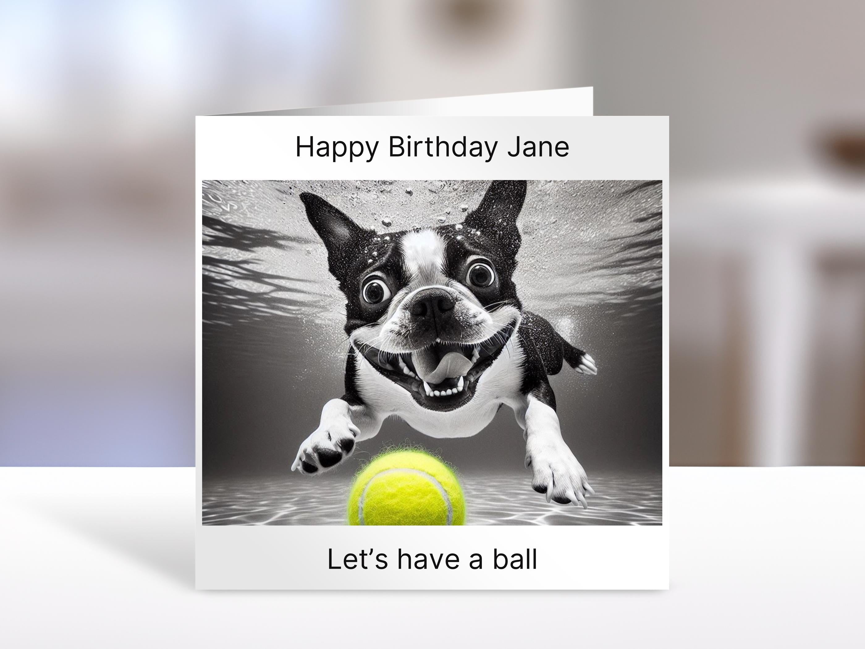 Boston Terrier Birthday card, have a ball | humorous greeting Cards | personalised card for friends, family, dog lovers
