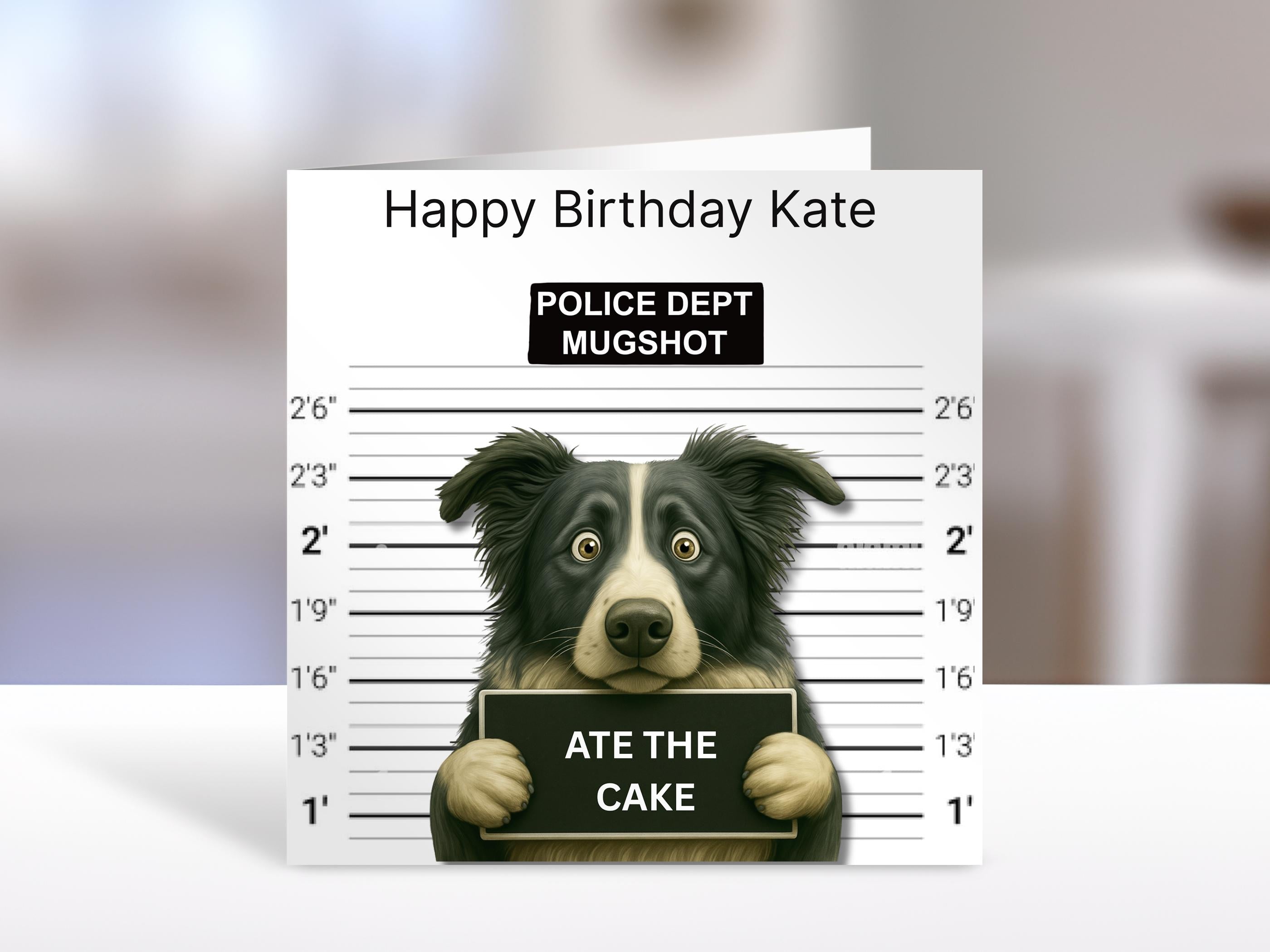 Border Collie Birthday card, mugshot | humorous greeting Cards | personalised card for friends, family, dog lovers