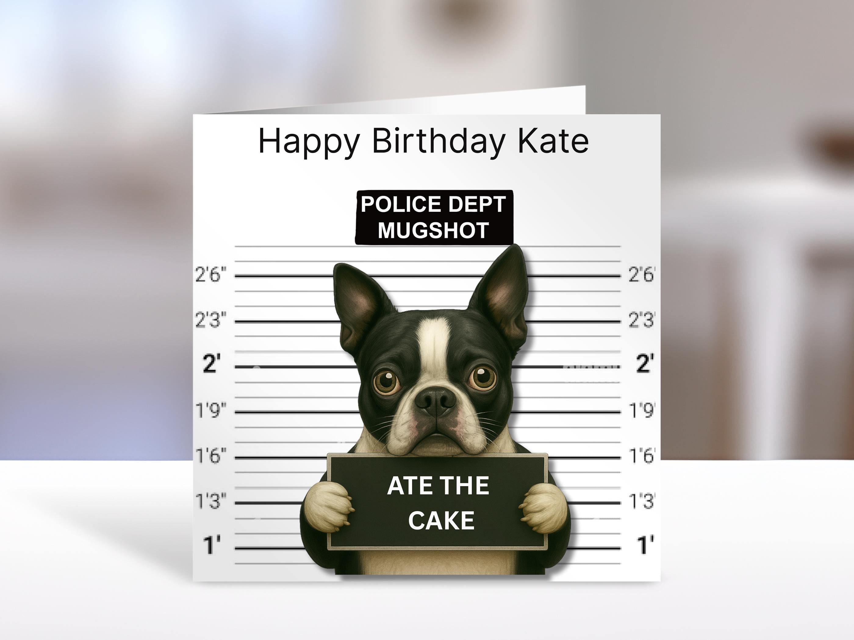 Boston Terrier Birthday card, mugshot | humorous greeting Cards | personalised card for friends, family, dog lovers