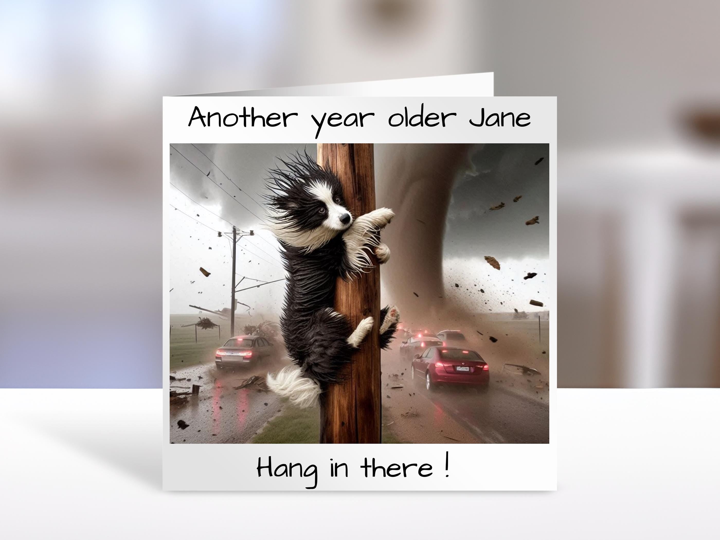 Border Collie Birthday card, hang in there | humorous greeting Cards | personalised card for friends, family, dog lovers