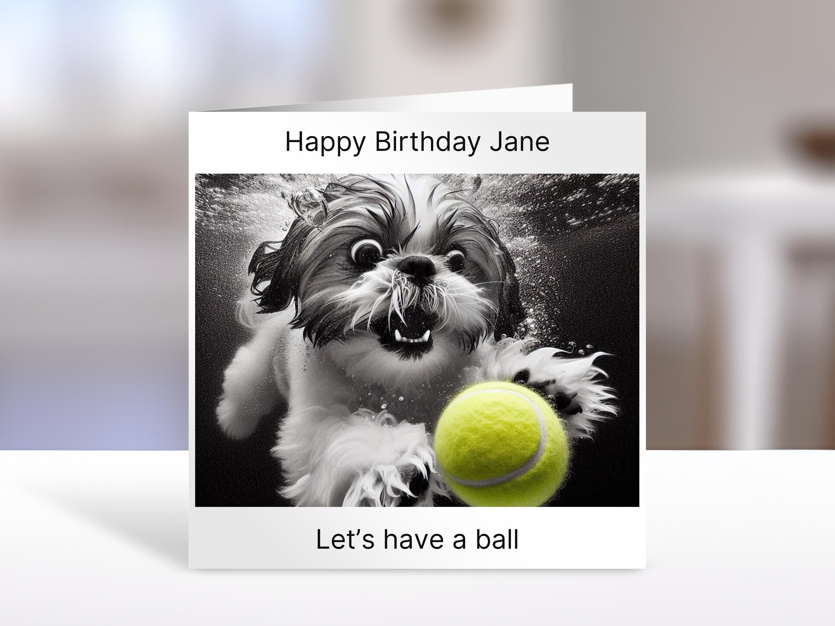 Shih Tzu Birthday card,have a ball | humorous greeting Cards | personalised card for friends, family, dog lovers
