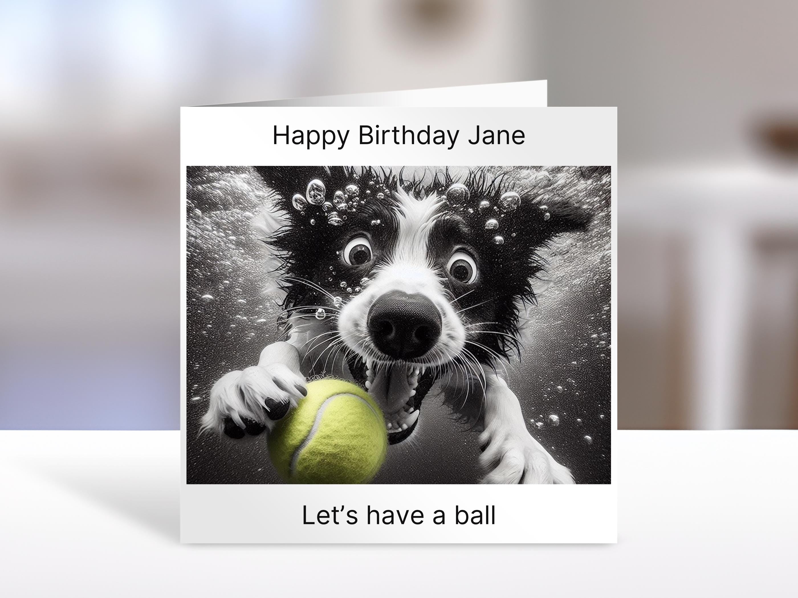 Border Collie Birthday card, have a ball | humorous greeting Cards | personalised card for friends, family, dog lovers