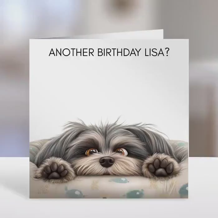 Shih Tzu Birthday card