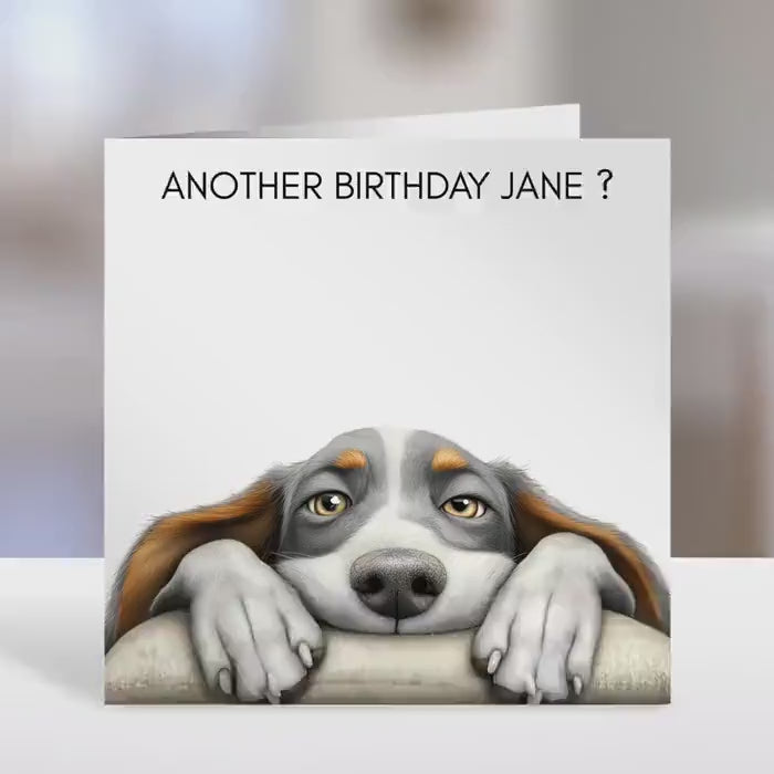 Basset Hound Birthday card