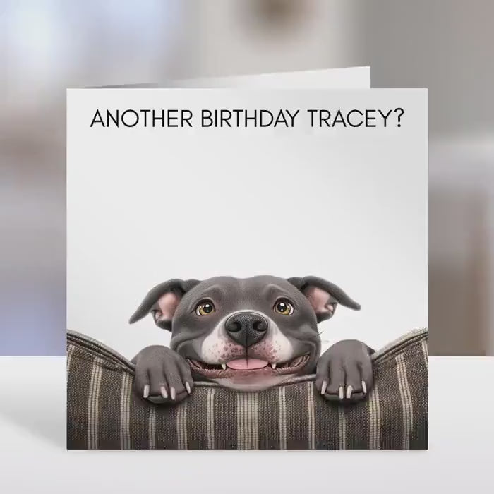 Staffordshire terrier Birthday card