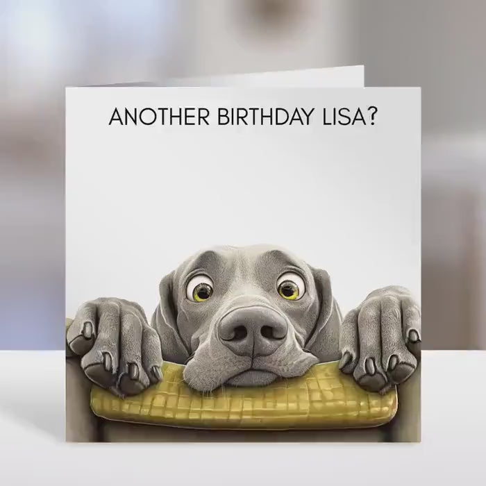 Weimaraner Birthday card