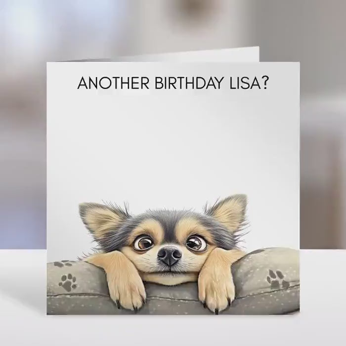 Chihuahua Birthday card