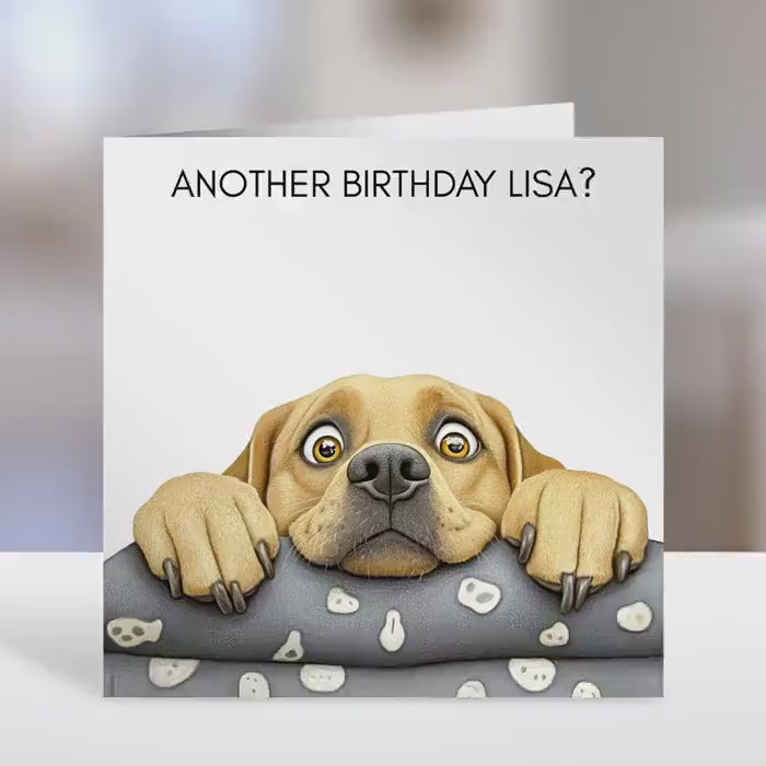Labrador Birthday card
